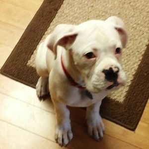 Meet your Posher, Sandy